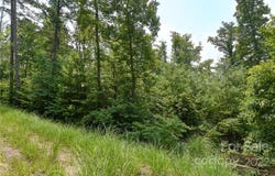 The Vines Boulevard lot: 2, Marshall, NC 28753