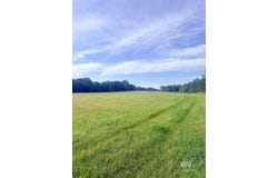 Joe Reeves Road, Castleberry, AL 36432