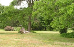 916 E 4th Street S, Ladysmith, WI 54848