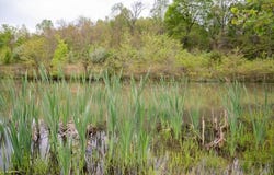 2603 Pattonsville Road, Jackson, OH 45640