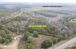 29.74 Acres Highway 87, Samson, AL 36477