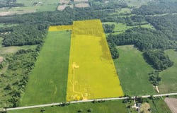 11371 E 40th Street, Reed City, MI 49677