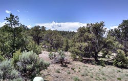 23205 US 64, Taos, NM 87577-1111