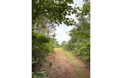 5030 County Rd, Kosciusko, MS 39090