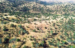 0 No Address, Friant, CA 93626