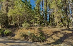 920 Chrome Mine Rd, Hayfork, CA 96041