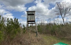 Watson Road, Plain Dealing, LA 71064