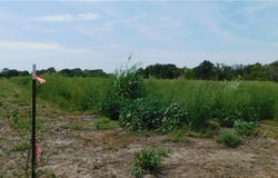 1171 Lot 6 Road, Holden, MO 64040