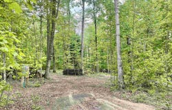 8320 Del Mason Road, Mancelona, MI 49659-7864