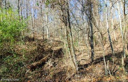 Lot 421 Mystic Star Drive, New Tazewell, TN 37825