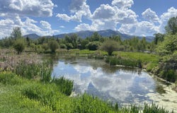 4445 N Millrace Road, Oakley, UT 84055