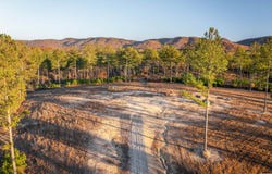4090 COUNTY ROAD 62, GAYLESVILLE, AL 35973