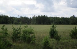 000 County Road A, Ladysmith, WI 54848