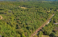 TRACT 3 Lees Bridge Rd, Delta, AL 36258