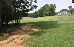 104 Bay Pointe Drive, Chapin, SC 29036