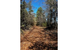 R14353 CR 167, Long Branch, TX 75669