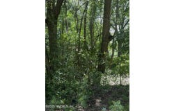 POWELL Street, Palatka, FL 32177