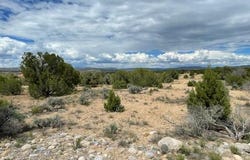 Xxx ROAD 2785, Aztec, NM 87410