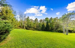 207 Randall Ave, Norwich, NY 13815