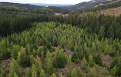 4 Conboy Heights, White Salmon, WA 98672