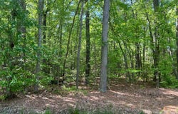 Lot 217 WARE NECK ROAD, GLOUCESTER, VA 23061