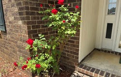 175 Hidden Bay Drive, Sumter, SC 29154