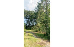 363 Acres FL-85, Laurel Hill, FL 32567