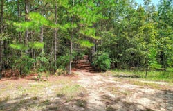 64.68 Acre Mt Beulah Road, Windsor, SC 29856