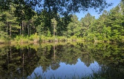Lot 1 Marshall Road, Appling, GA 30802