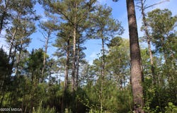 Ruffner Road, Barnesville, GA 30204