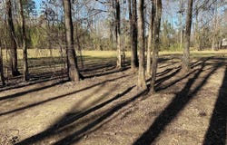 TBD Pioneer Lane, Hatfield, AR 71945