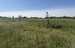 TBD Lot 3 Wild West Place, Belle Fourche, SD 57717