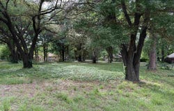 Oakleigh Street, Hawkins, TX 75765