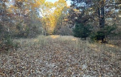 02 County Road 317, Tecumseh, MO 65760