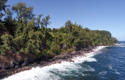 29-3818 HAWAII BELT RD, Hakalau, HI 96710