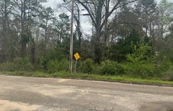 Powell Cir, Andalusia, AL 36420