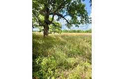 0 HWY 71, Alexandria, LA 71303