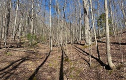Lt 95/97 Asheland, Young Harris, GA 30582