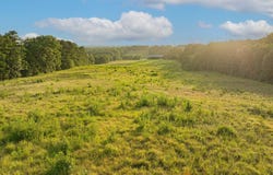 1234 Firetower Rd, Hallsville, TX 75650