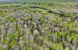 17858  Amber Lake Rd, Bruce Crossing, MI 49912
