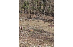 182 Mayberry Drive, SMITHVILLE, TN 37166
