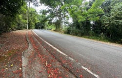 834 Km 3  Bo. Hato Nuevo, Guaynabo, 00970