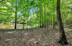 LOT 3 SHORESIDE AT SIPSEY, Double Springs, AL 35553