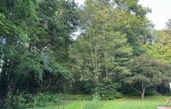 TADPOLE ROAD, PENNSYLVANIA FURNACE, PA 16865