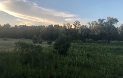 4195 Cedar springs road, Ashford, AL 36312