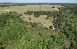 2954 CR 2170, Grapeland, TX 75844