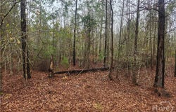351 Poplar, Pembroke, GA 31321