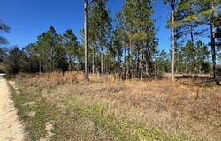 NE 135TH Court, Raiford, FL 32083