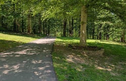 15923 MOUNT EVEREST LN, SILVER SPRING, MD 20906