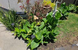 13713 S. Vermont Ave, Gardena, CA 90247